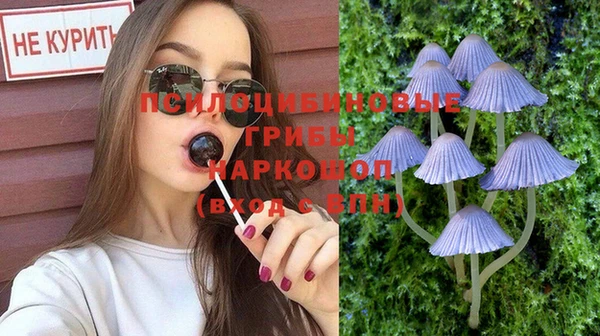 синтетический гашиш Богданович